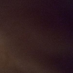 Meet your Posher, Shane